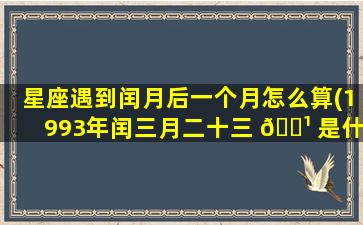 星座遇到闰月后一个月怎么算(1993年闰三月二十三 🌹 是什么星座)